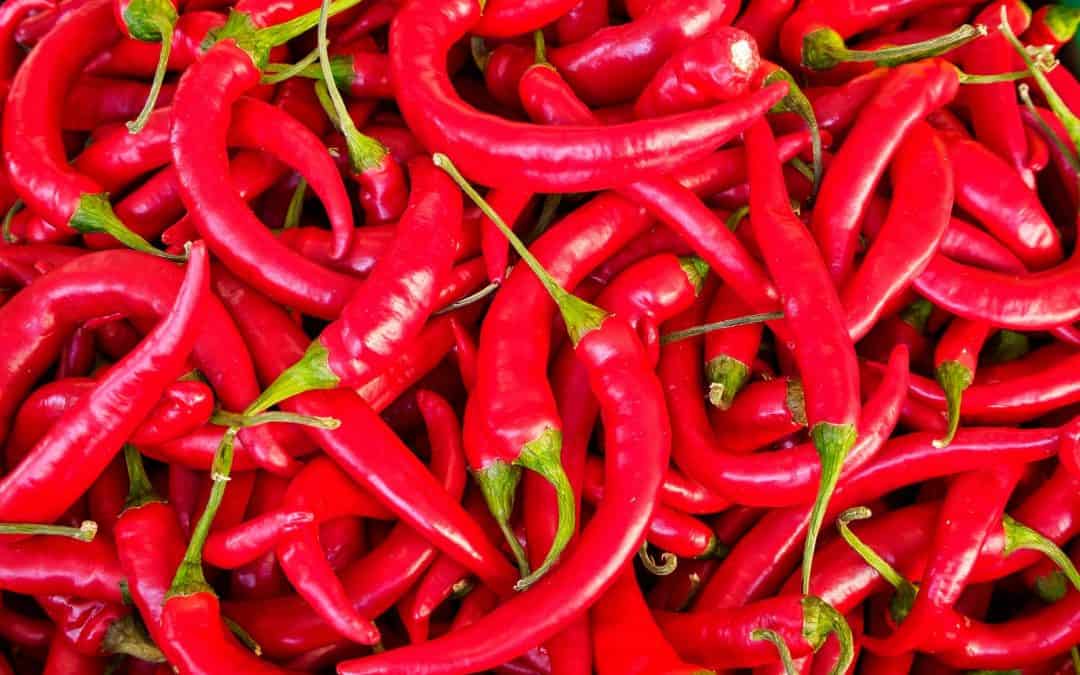 Hvor sunt er chili? – og tips til bruk av tørket chili